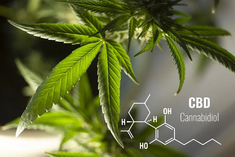 סקירה של מוצרי CBD מבית HAPPY GARDEN